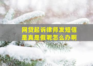 网贷起诉律师发短信是真是假呢怎么办啊