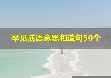 罕见成语意思和造句50个