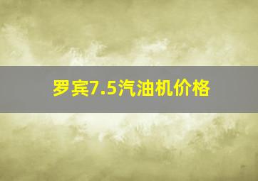 罗宾7.5汽油机价格