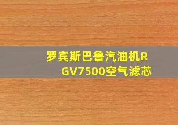 罗宾斯巴鲁汽油机RGV7500空气滤芯