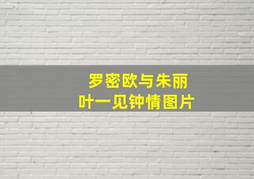 罗密欧与朱丽叶一见钟情图片