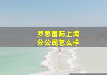 罗思国际上海分公司怎么样