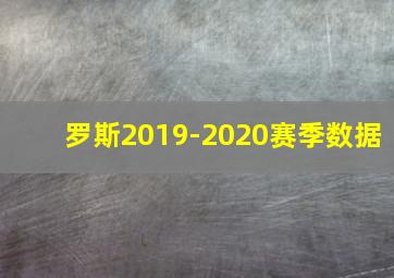 罗斯2019-2020赛季数据