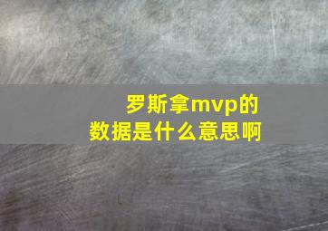 罗斯拿mvp的数据是什么意思啊