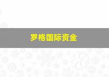 罗格国际资金