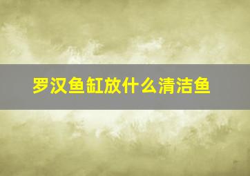 罗汉鱼缸放什么清洁鱼