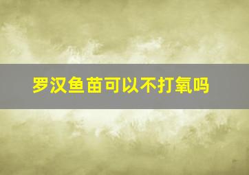 罗汉鱼苗可以不打氧吗