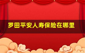 罗田平安人寿保险在哪里