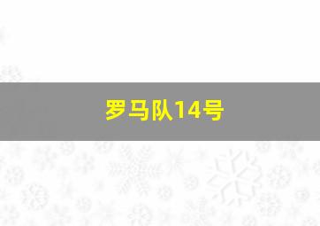 罗马队14号