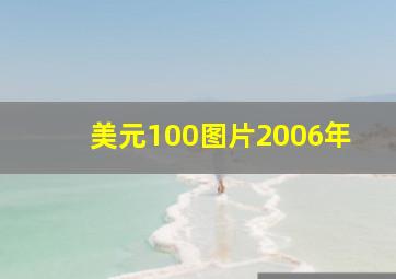 美元100图片2006年