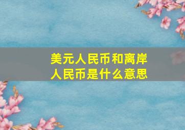 美元人民币和离岸人民币是什么意思