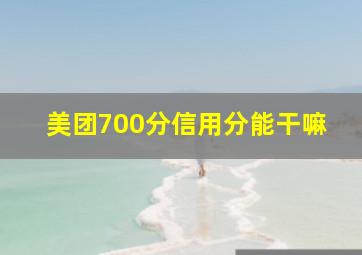 美团700分信用分能干嘛