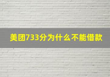 美团733分为什么不能借款