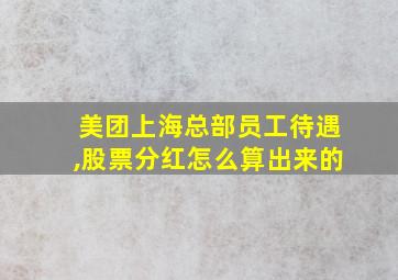 美团上海总部员工待遇,股票分红怎么算出来的