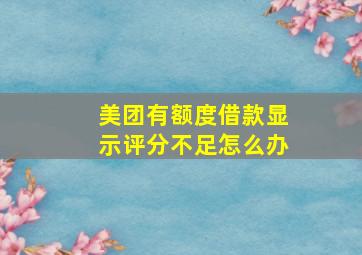 美团有额度借款显示评分不足怎么办