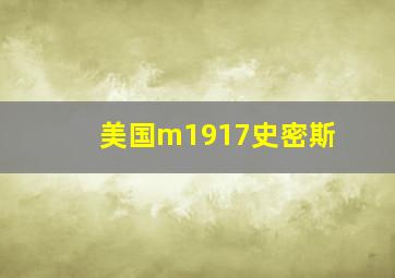 美国m1917史密斯