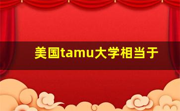 美国tamu大学相当于