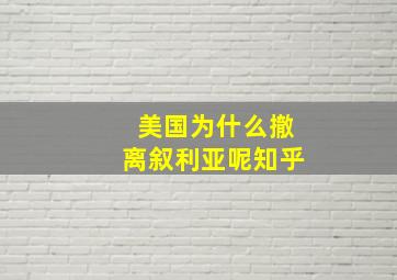 美国为什么撤离叙利亚呢知乎