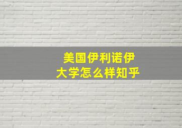 美国伊利诺伊大学怎么样知乎