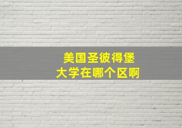 美国圣彼得堡大学在哪个区啊