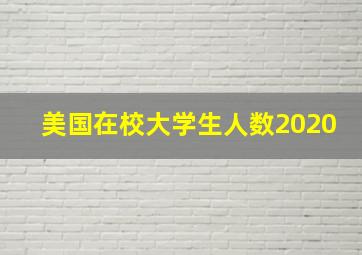 美国在校大学生人数2020