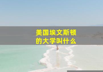 美国埃文斯顿的大学叫什么