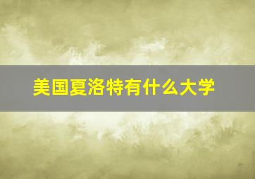 美国夏洛特有什么大学