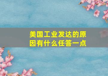 美国工业发达的原因有什么任答一点