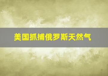 美国抓捕俄罗斯天然气