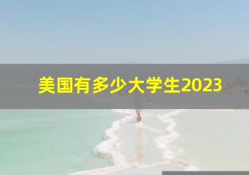 美国有多少大学生2023