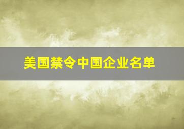 美国禁令中国企业名单