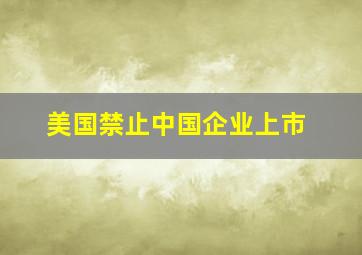 美国禁止中国企业上市