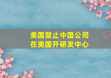 美国禁止中国公司在美国开研发中心