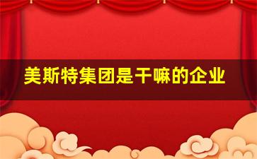 美斯特集团是干嘛的企业