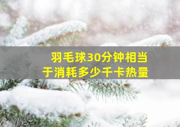 羽毛球30分钟相当于消耗多少千卡热量