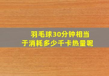 羽毛球30分钟相当于消耗多少千卡热量呢