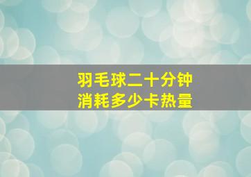 羽毛球二十分钟消耗多少卡热量