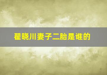 翟晓川妻子二胎是谁的