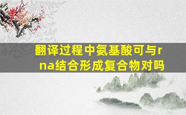 翻译过程中氨基酸可与rna结合形成复合物对吗