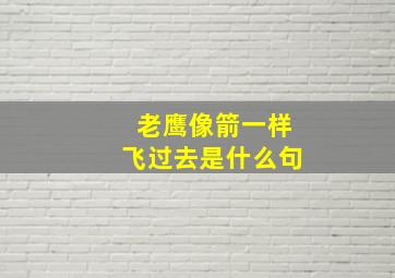 老鹰像箭一样飞过去是什么句