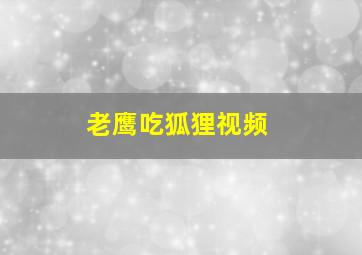 老鹰吃狐狸视频