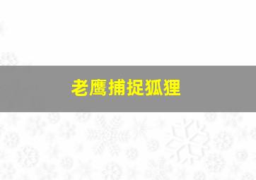 老鹰捕捉狐狸