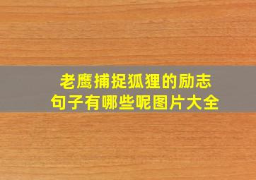 老鹰捕捉狐狸的励志句子有哪些呢图片大全