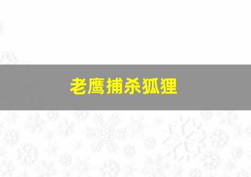 老鹰捕杀狐狸