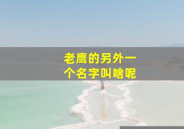 老鹰的另外一个名字叫啥呢