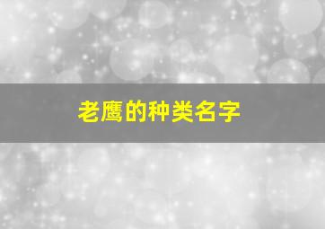 老鹰的种类名字