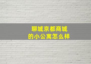 聊城京都商城的小公寓怎么样