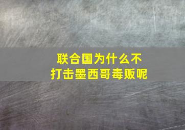 联合国为什么不打击墨西哥毒贩呢