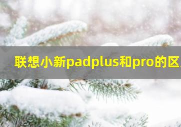 联想小新padplus和pro的区别