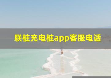 联桩充电桩app客服电话